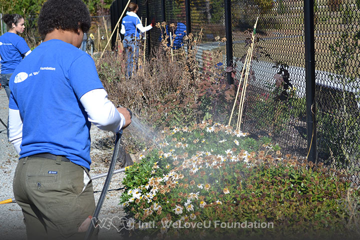  WeLoveU volunteers beautify Carpenter Park Community Garden in NC.