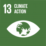 Global Goal #13