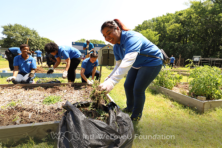 WeLoveU volunteer tossing weeds in a trash bag