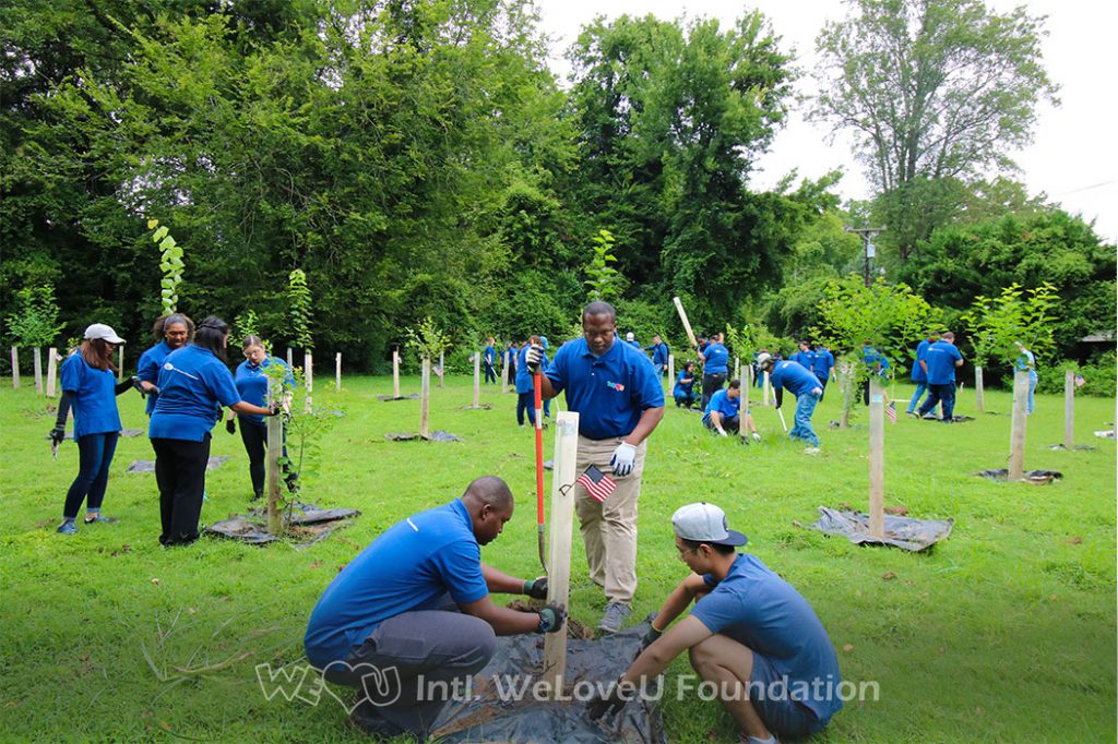 Countless WeLoveU volunteers taking care of trees in Charlotte, North Carolina