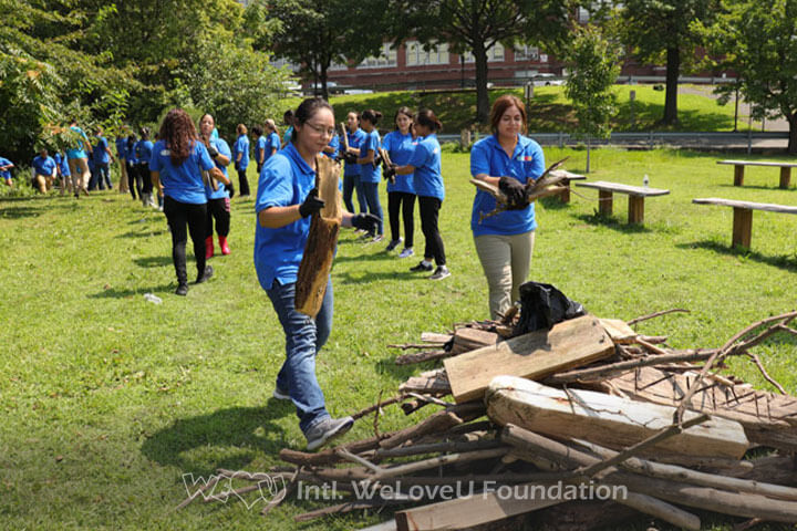 cleanup, volunteerism, picking up branches