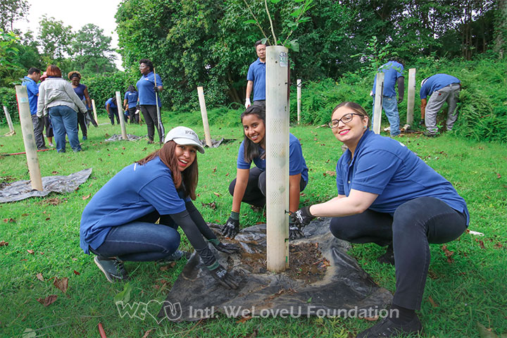 WeLoveU volunteers tending to plants