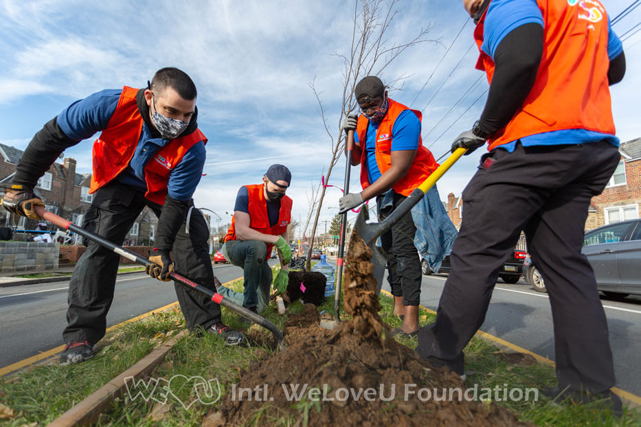 A few volunteers work together to cover a newly planted tree with soil