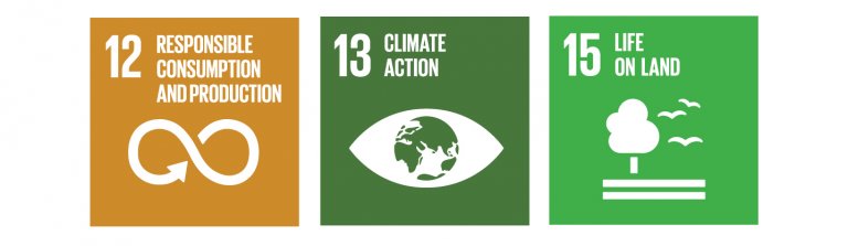 SDGs 12, 13, 15