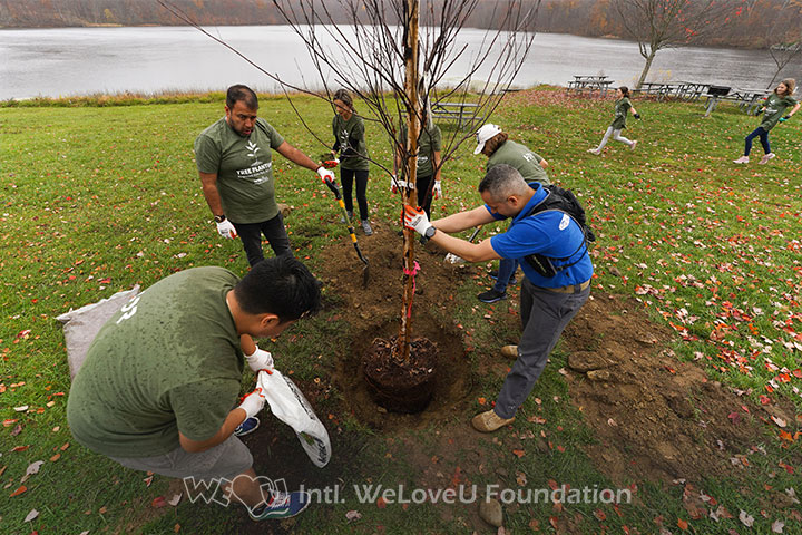 Volunteers plant a tree near Shepherd Lake