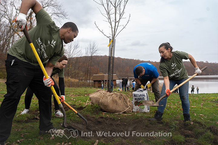 WeLoveU volunteers work and dig up the ground to plant trees